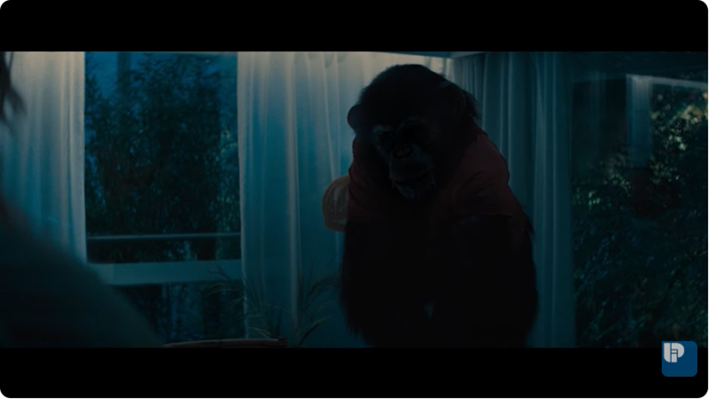 Primate ลิงคลั่งพันธุ์ดิบ หนังสยองขวัญ หนังลิงดุ หนังใหม่ 2026 ภาพตัวอย่าง