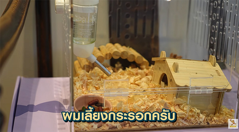 บ้านชาคริต