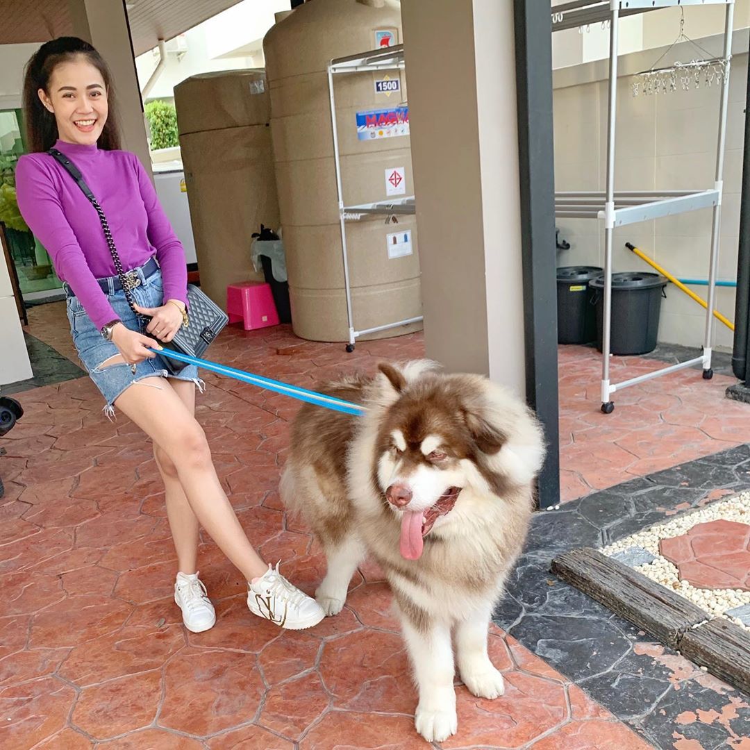 ลําไย ไหทองคํา