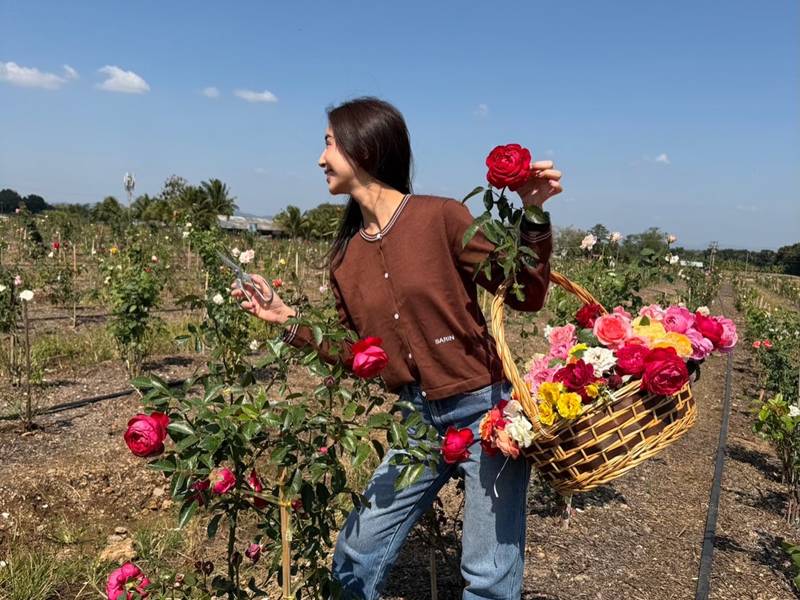 ปู่ไพวงษ์ เปิดอาณาจักร เตชะณรงค์