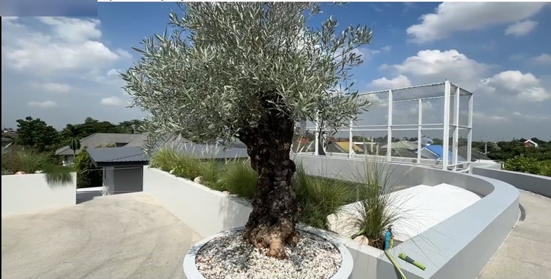 บ้านใหม่ กอล์ฟ พิชญะ