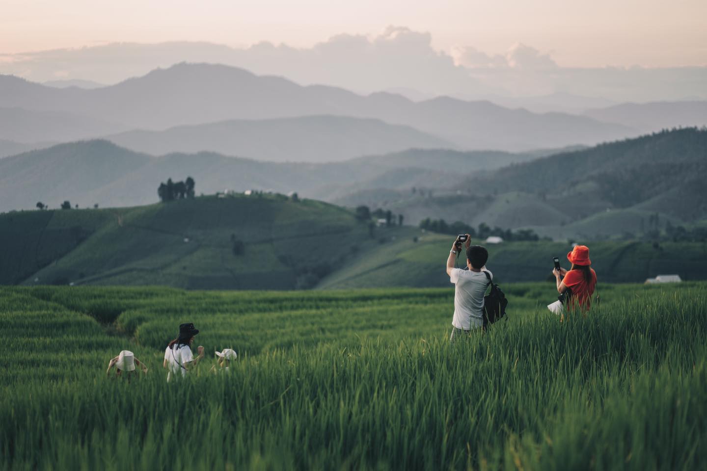 ป่าบงเปียง