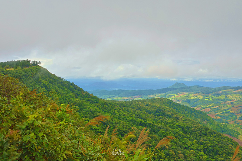 อุทยานแห่งชาติภูเรือ เลย