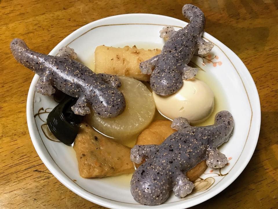 ซาลาแมนเดอร์