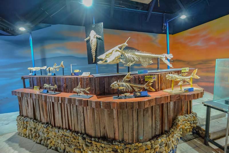 Aquarium สวนสัตว์เชียงใหม่ 