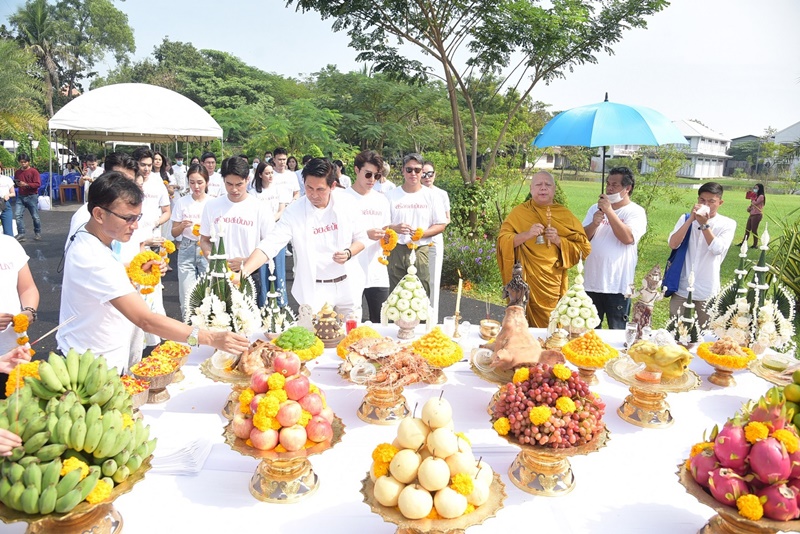 สร้อยสะบันงา