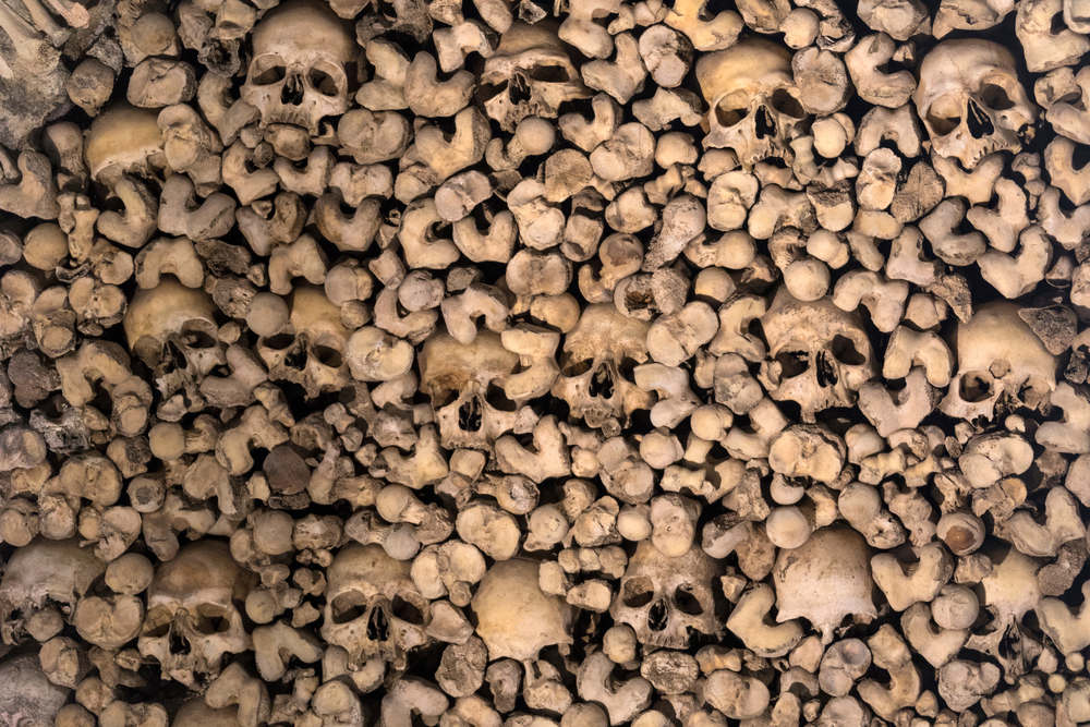 วิหารโครงกระดูก