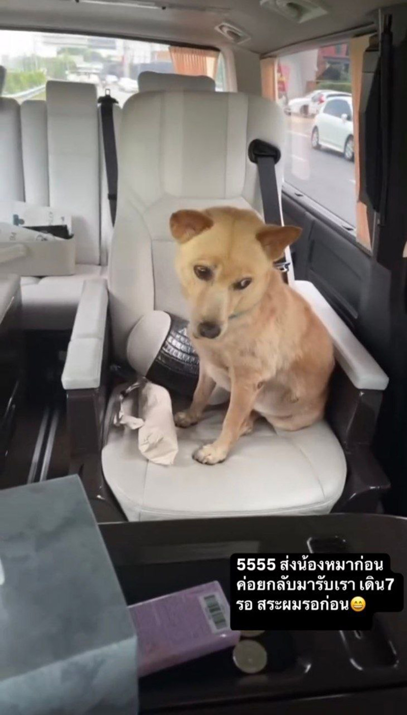 คุณชายถั่ว หมาอั้ม พัชราภา