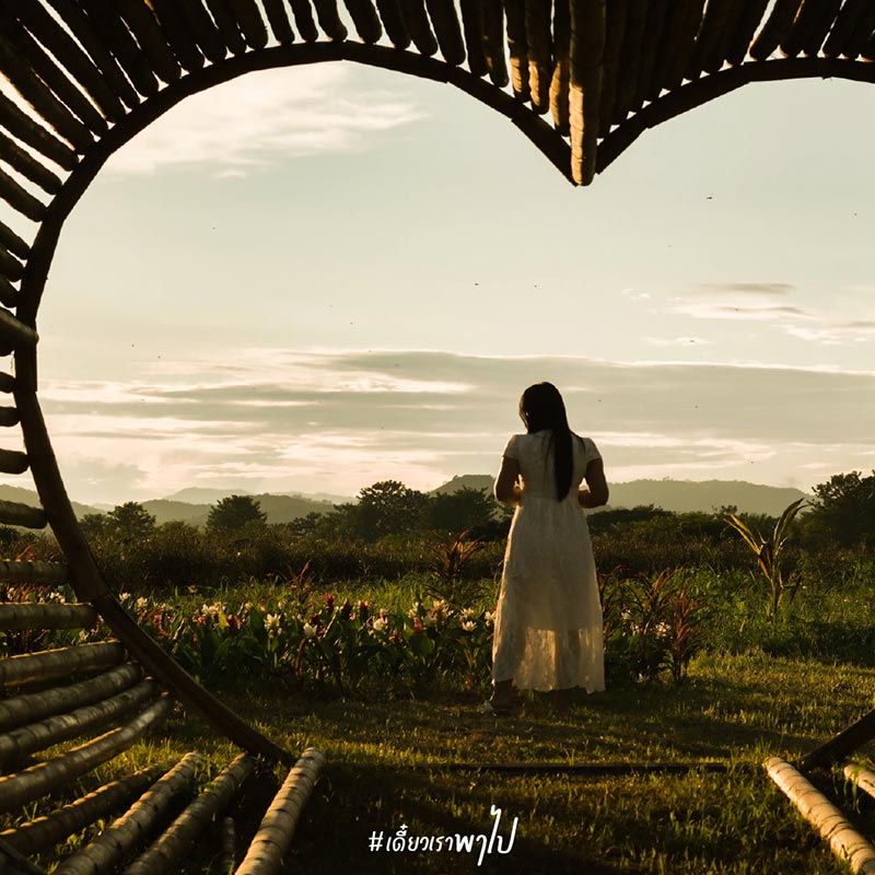 ป่าทำมา  