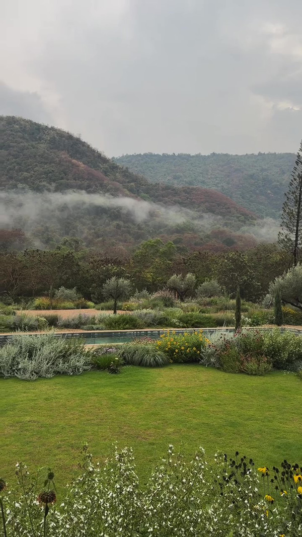 ญาญ่า อุรัสยา