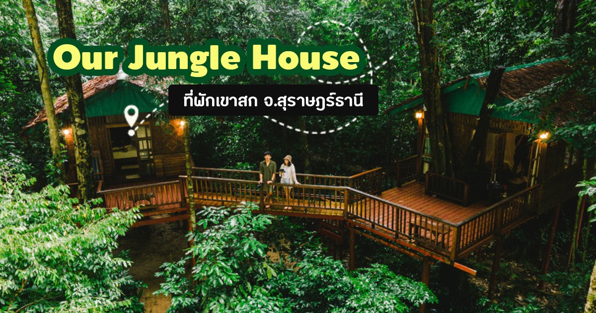 Our Jungle House รีวิวที่พักเขาสก สุราษฎร์ธานี