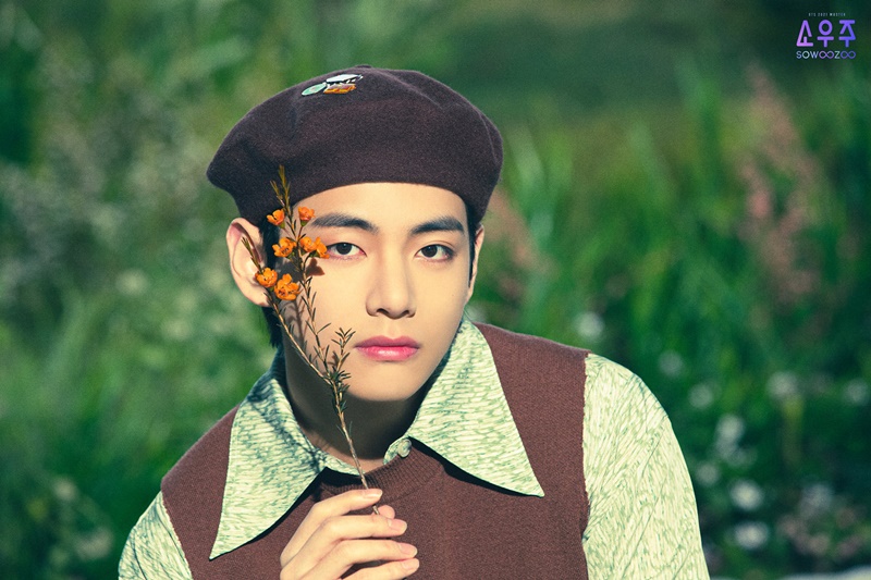 v bts taehyung