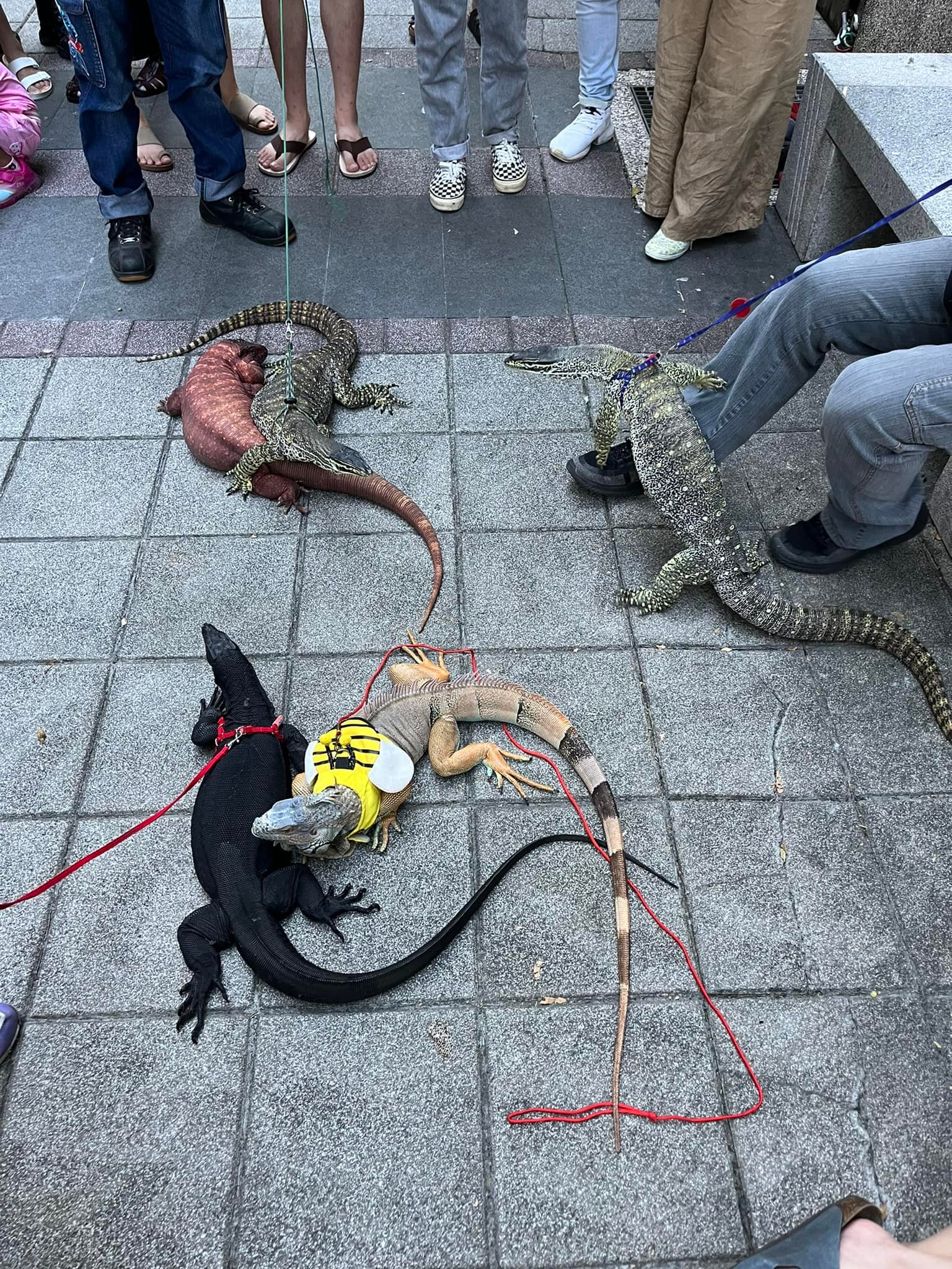 ตัวเงินตัวทอง