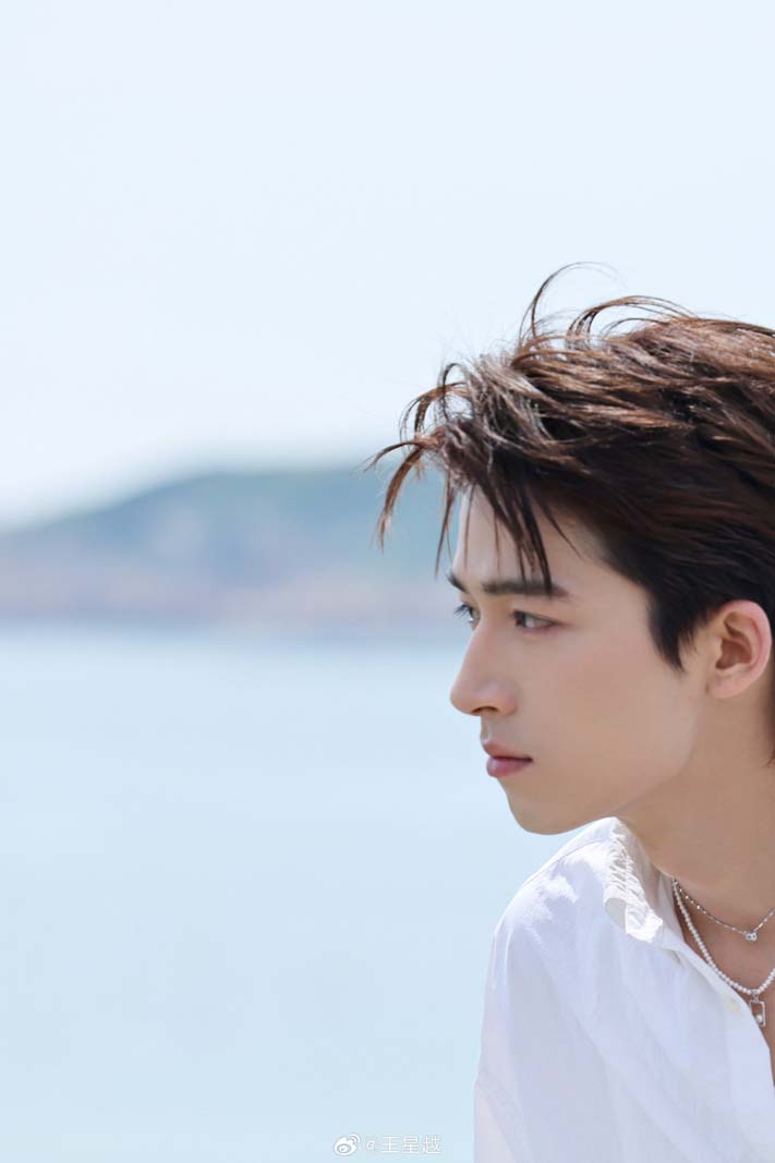 หวังซิงเยว่ Wang Xing Yue