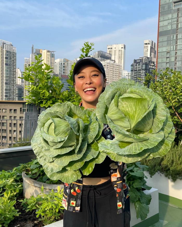 แพรี่พาย ทำฟาร์มผักบนดาดฟ้า