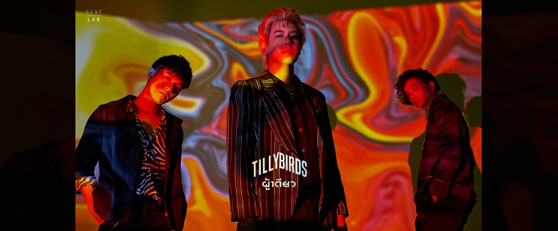 วง Tilly Birds