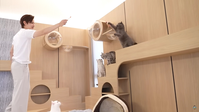 ห้องแมว บ้าน เต๋า เศรษฐพงศ์