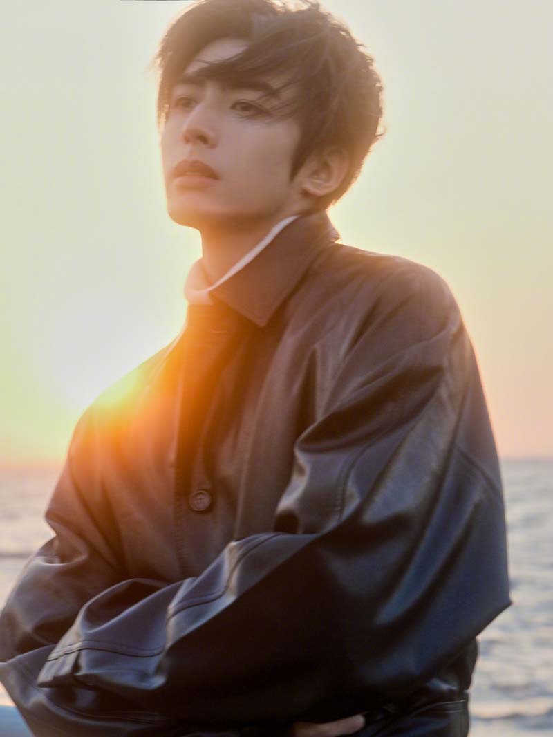 ซ่งเหว่ยหลง Song Wei Long ผลงาน