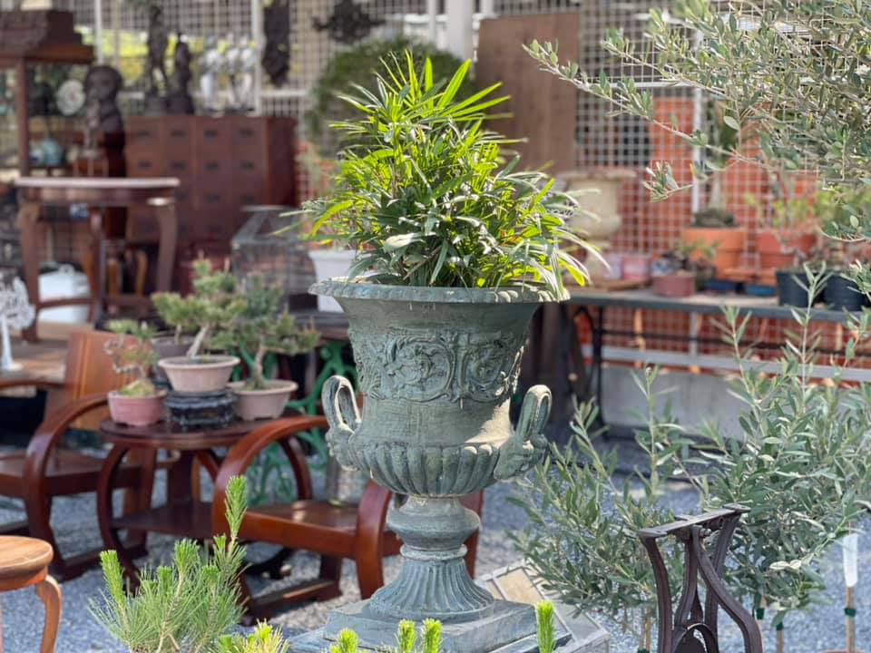 ตลาดต้นไม้