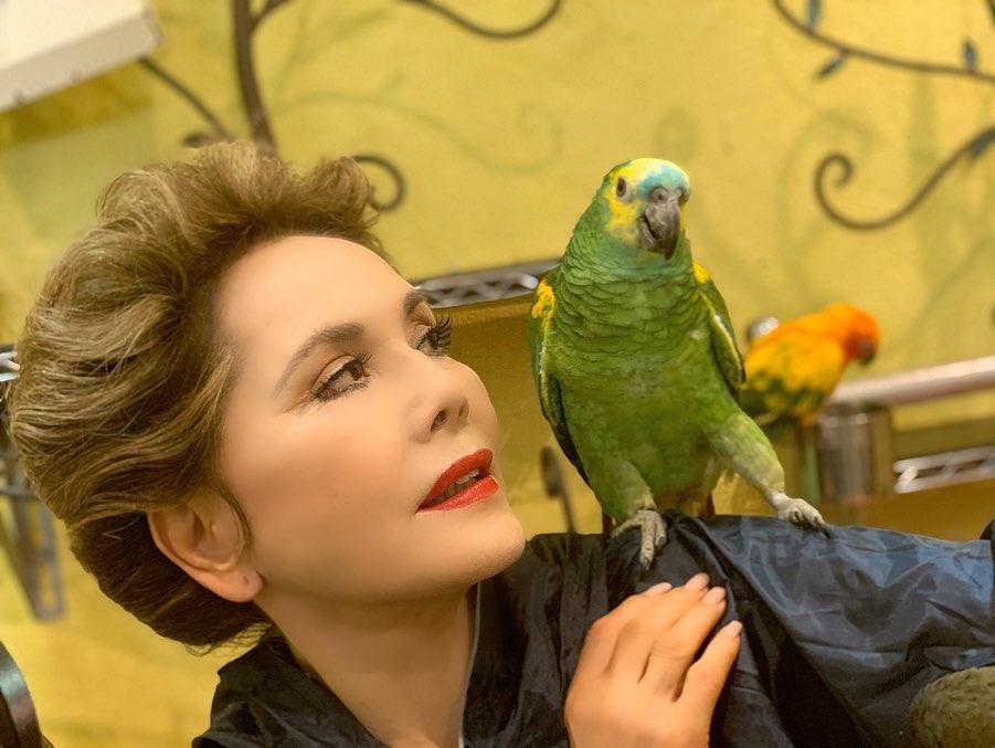 มาดามเดวี