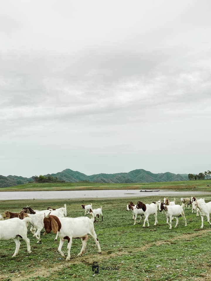 เขื่อนปราณบุรี