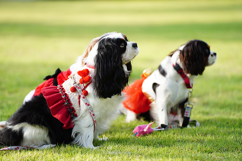 Hugmhaland ตลิ่งชัน