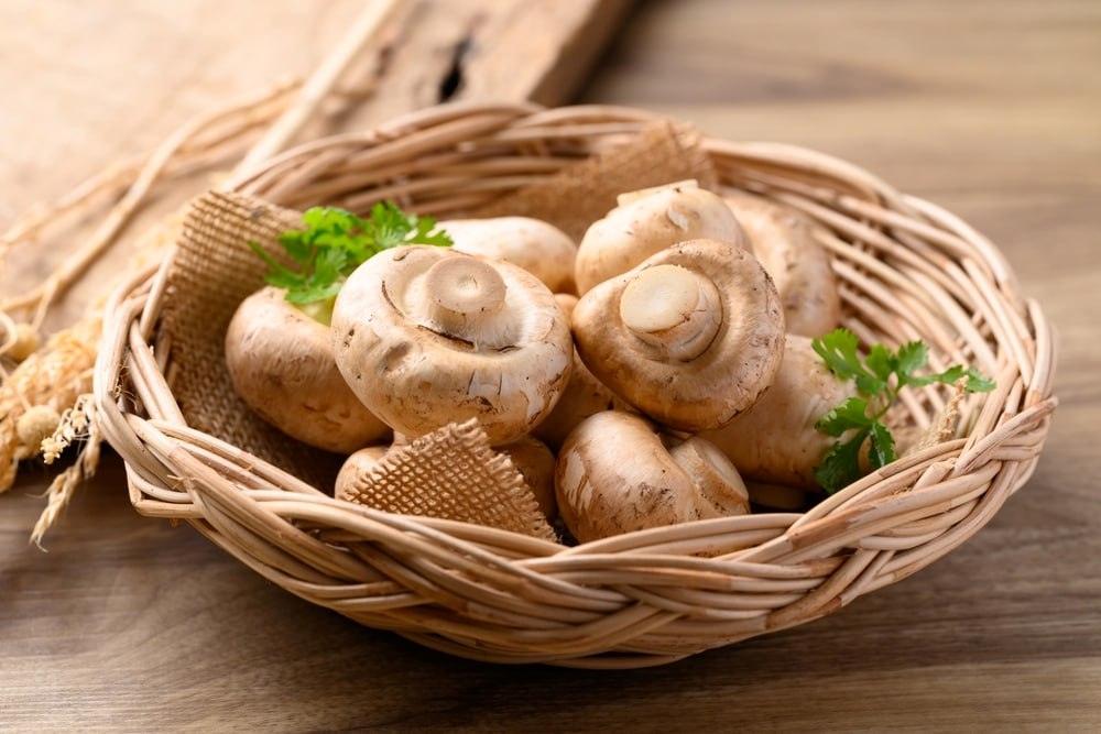 เมนูเห็ดแชมปิญอง