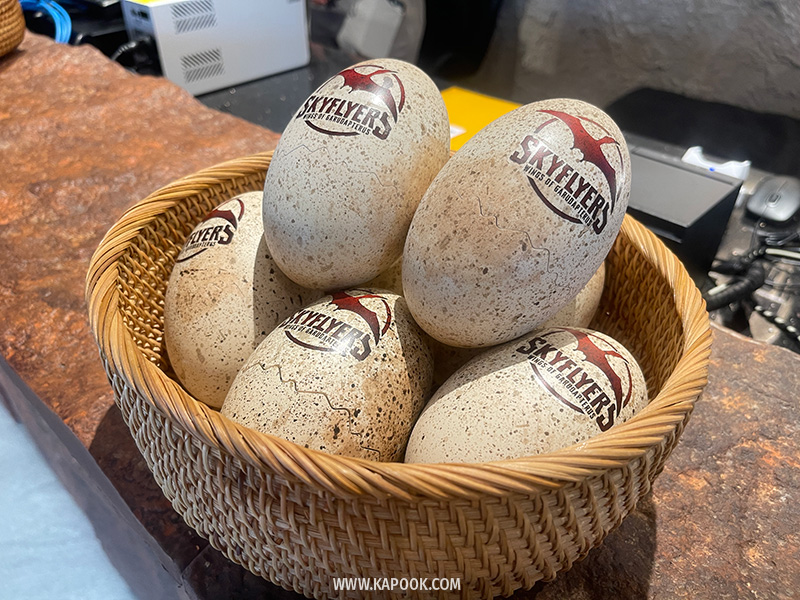 Skyflyers: Wings of Garudapterus