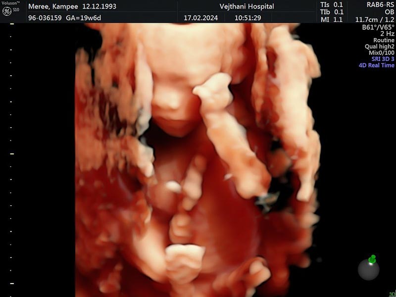 ลูก เมรี คัมภีร์ล