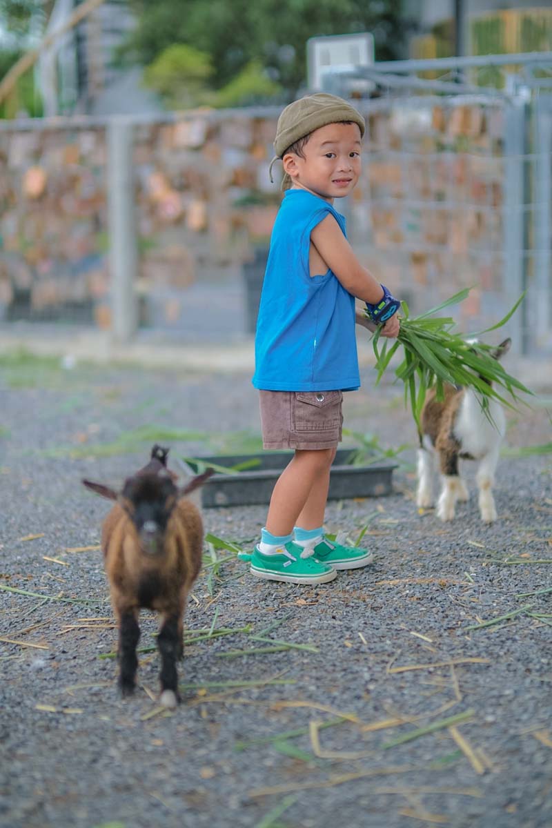 A Cup of Zoo Café คาเฟ่