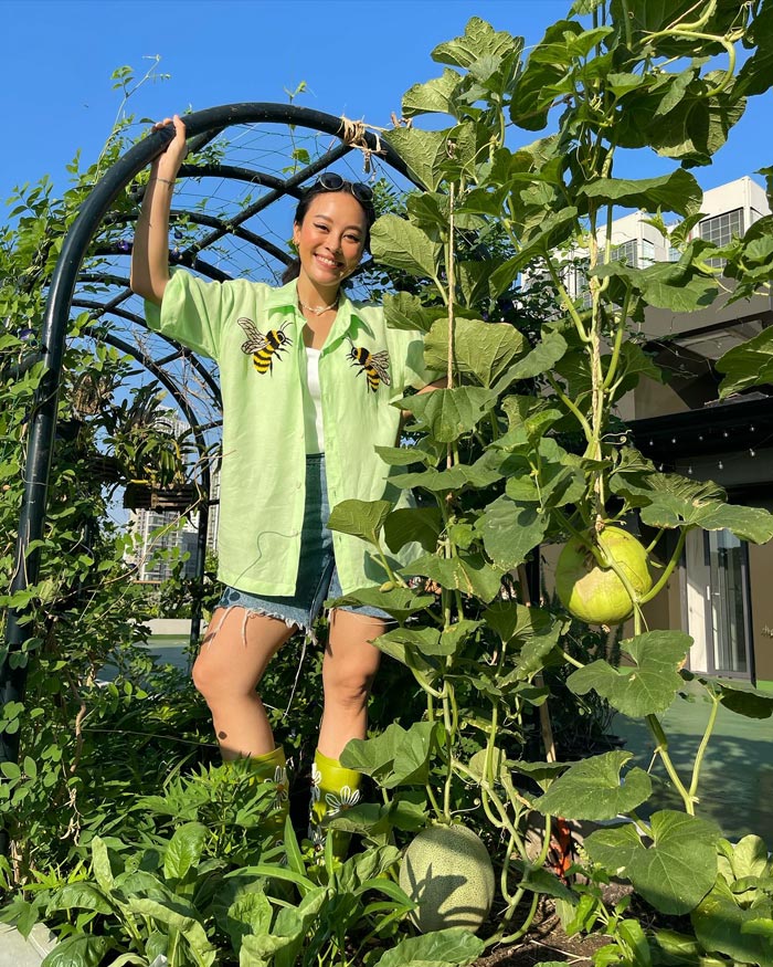 แพรี่พาย ทำฟาร์มผักบนดาดฟ้า