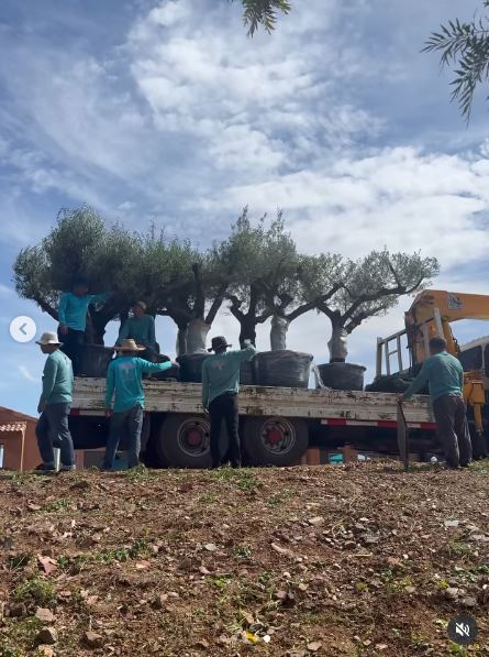 ญาญ่า อุรัสยา ซื้อต้นมะกอกปลูกที่บ้านเขาใหญ่