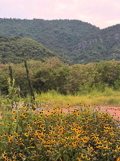 บ้านญาญ่า เขาใหญ่