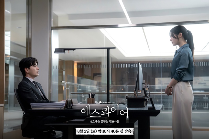 มือใหม่เกมกฎหมาย เรื่องย่อ