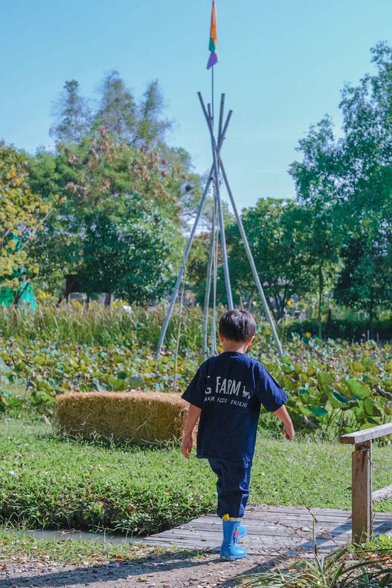 GFarm ฟาร์มและคาเฟ่เด็ก