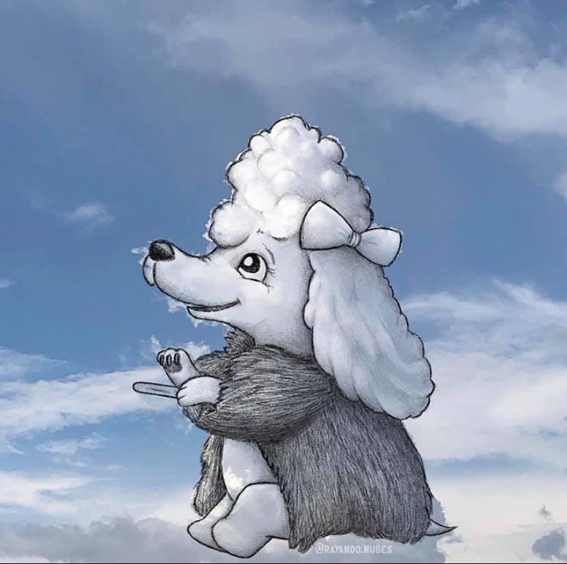 ศิลปะจากก้อนเมฆ