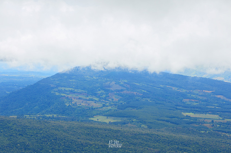 อุทยานแห่งชาติภูเรือ เลย