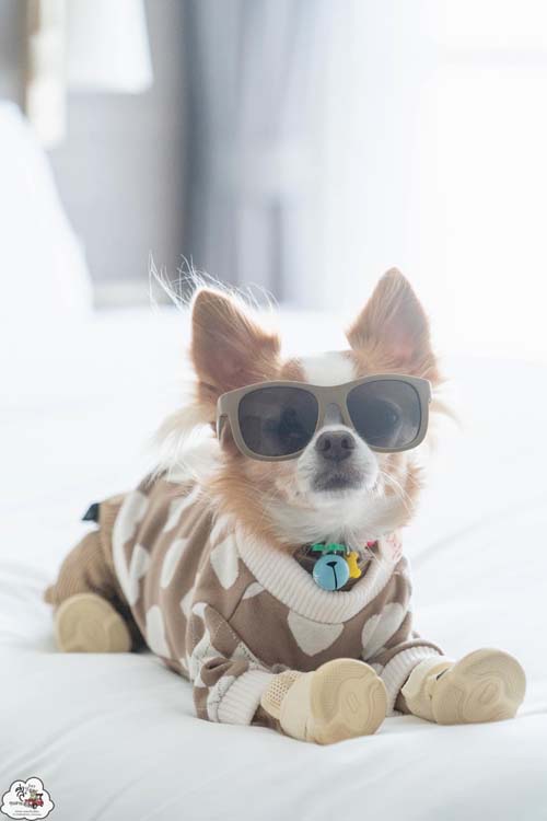 Oakwood Hotel & Residence Sri Racha