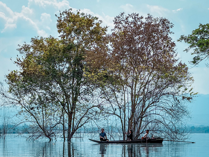 วัดบ้านเก่าจมน้ำ ชมต้นฉำฉากลางน้ำ ลำพูน