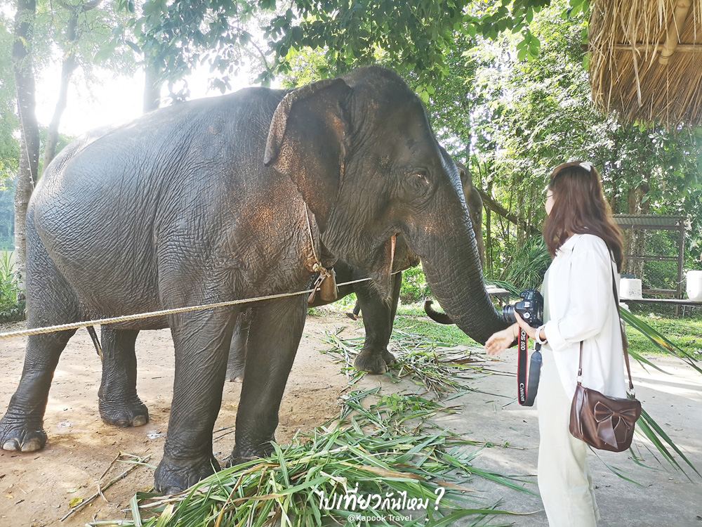 เที่ยวพิษณุโลก