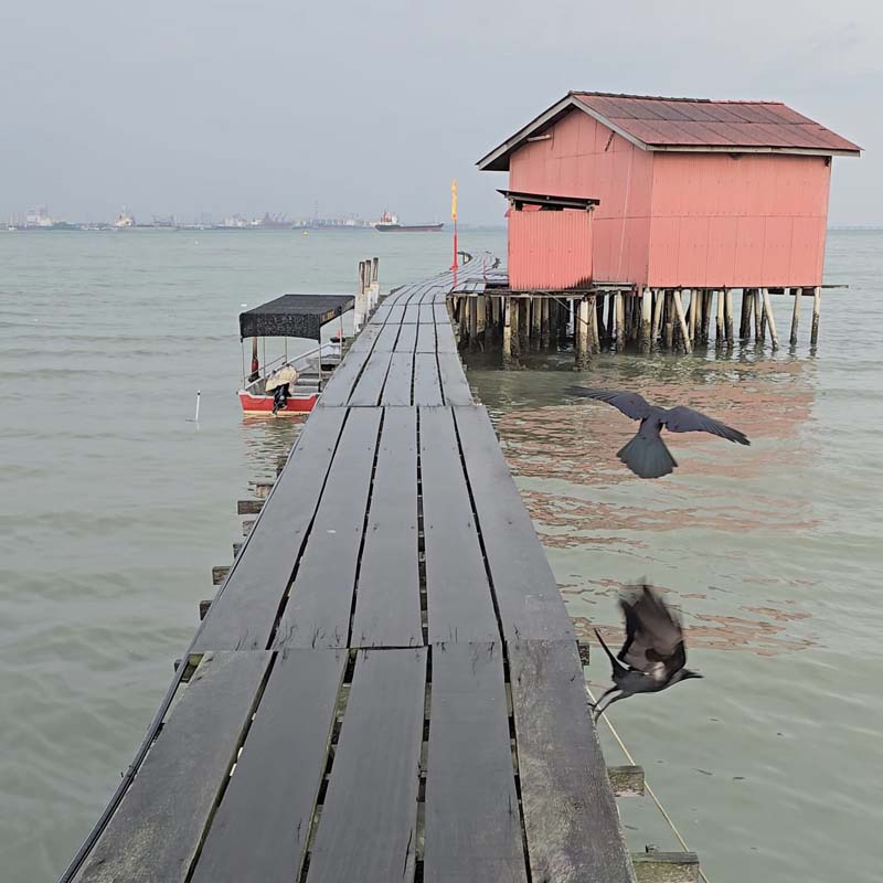 Tan Jetty หมู่บ้านชาวประมงปีนัง