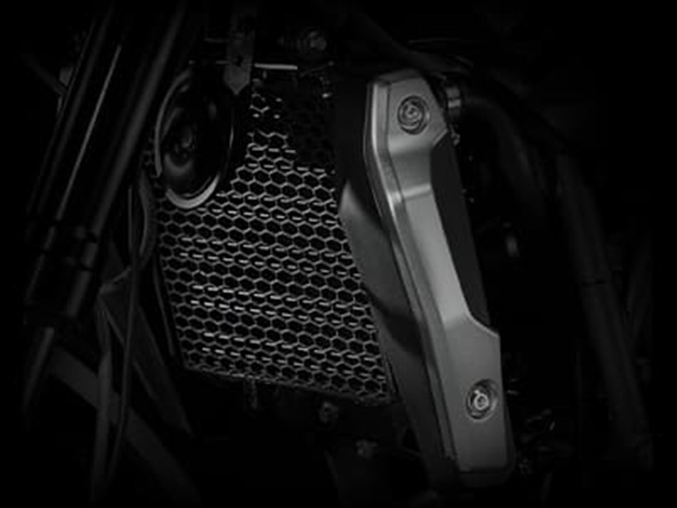 GPX MAD 300 MAX 2022