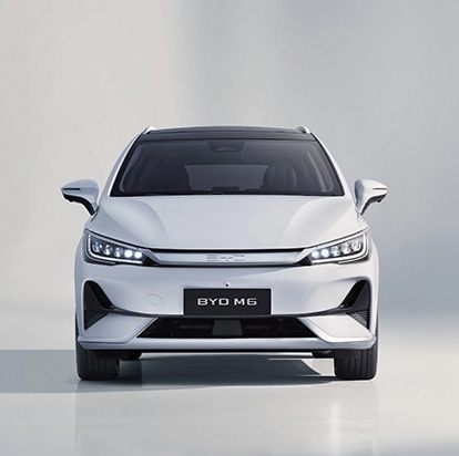 byd m6