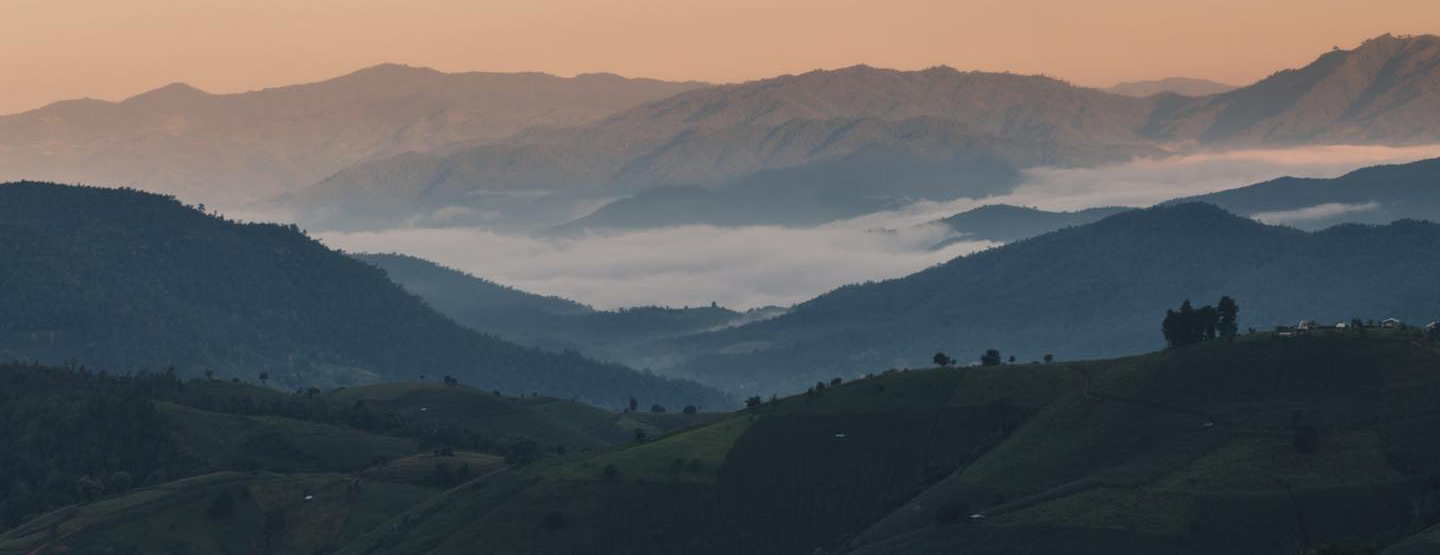 ป่าบงเปียง