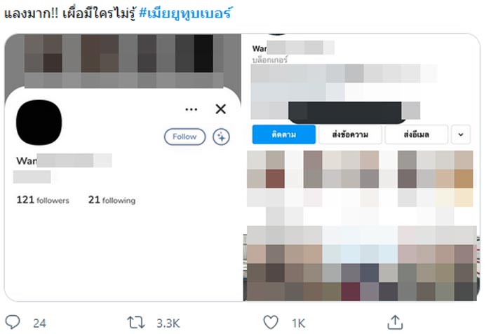 เมียยูทูบเบอร์