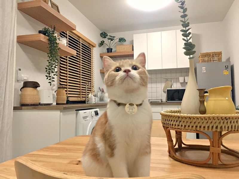 แบบห้องครัวสไตล์โฮมคาเฟ่