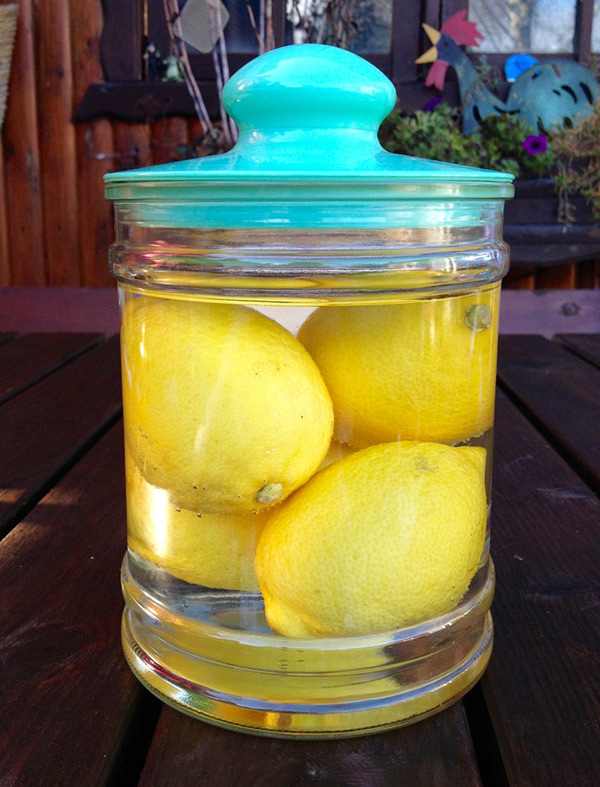 เก็บมะนาวแบบแช่น้ำ