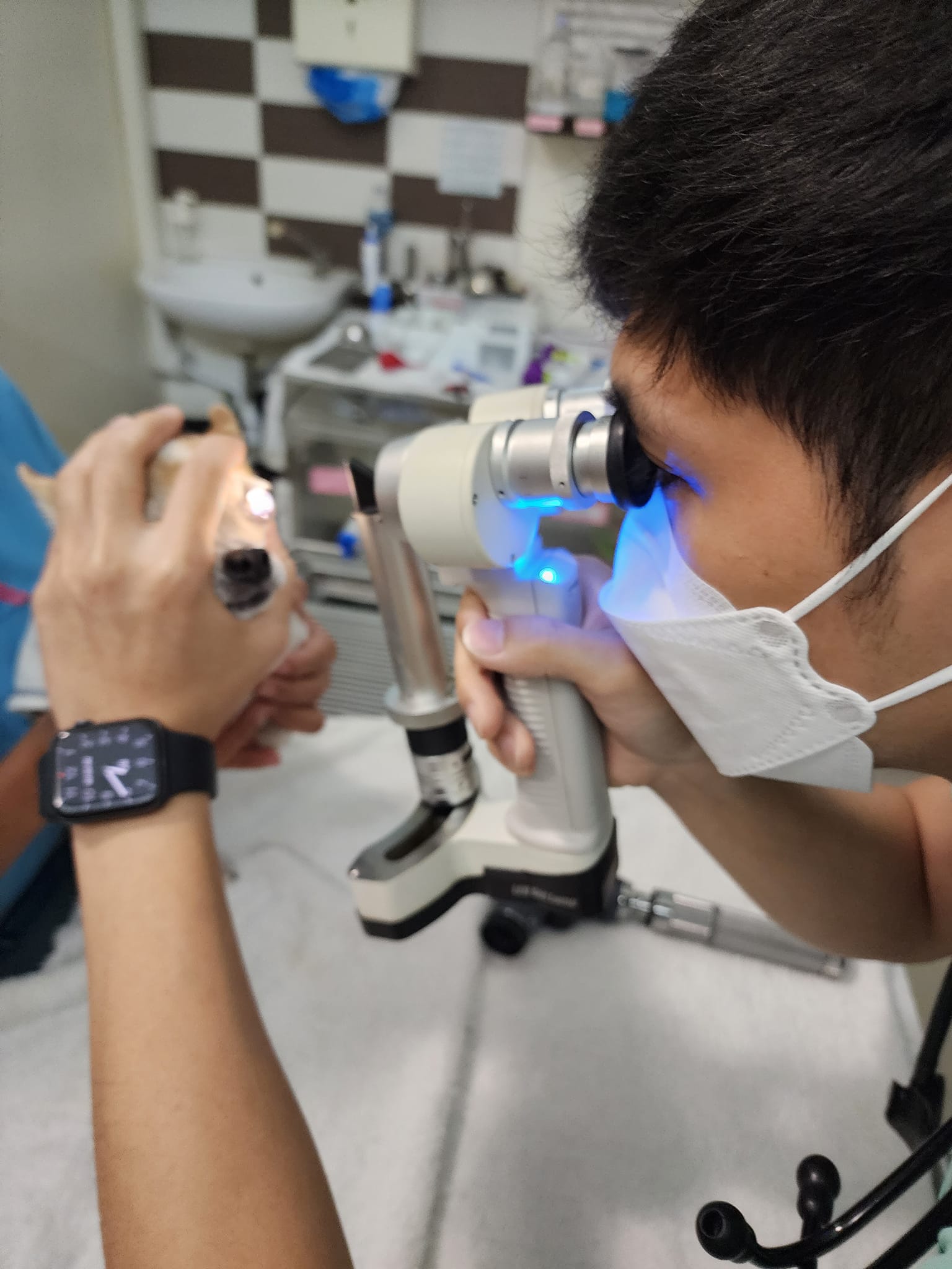 ตรวจสขุภาพตาสุนัข