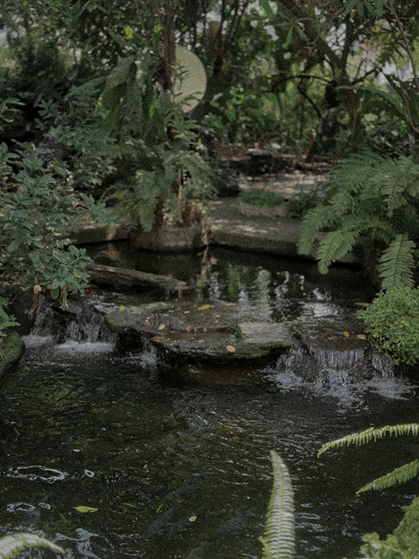 Foreste' cafe น้ำตก