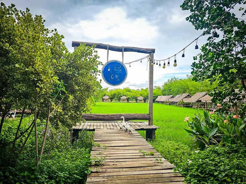 The Ugly Duckling Learning Farm บรรยากาศร้าน